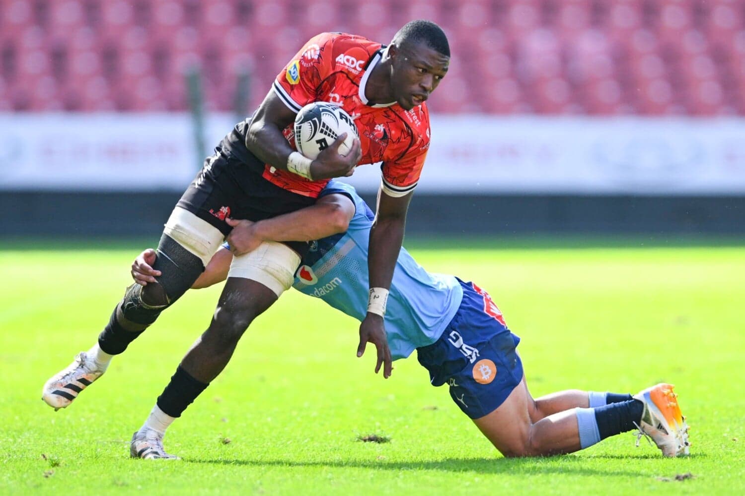 Lions bring their young talent to bear against Pumas