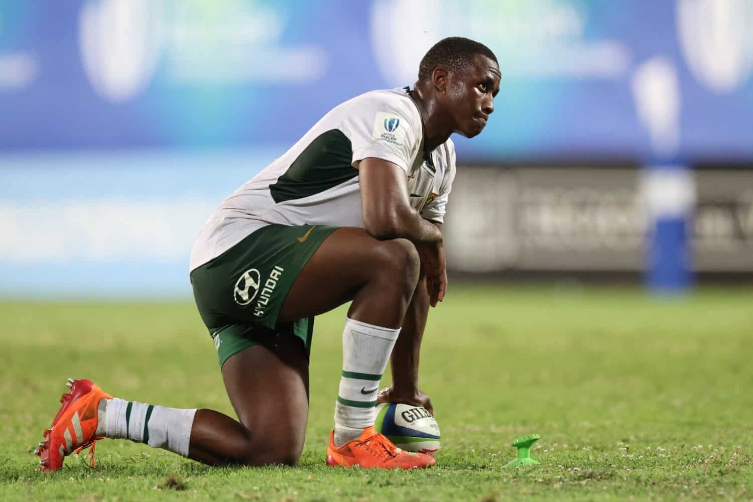 More young stars get a chance to impress: ‘Building for the future,’ says Bok boss Rassie