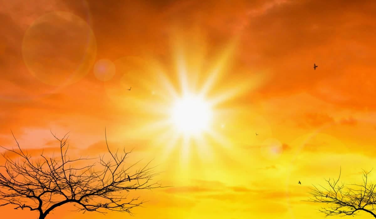 Worst El Nino on record set to hit SA pockets hard