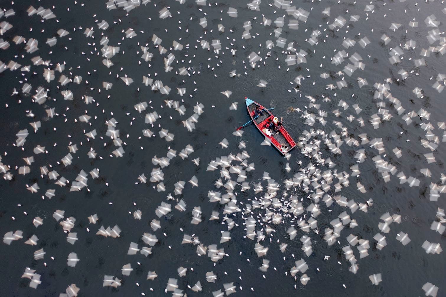 PICTURES: The world’s best aerial photographs revealed