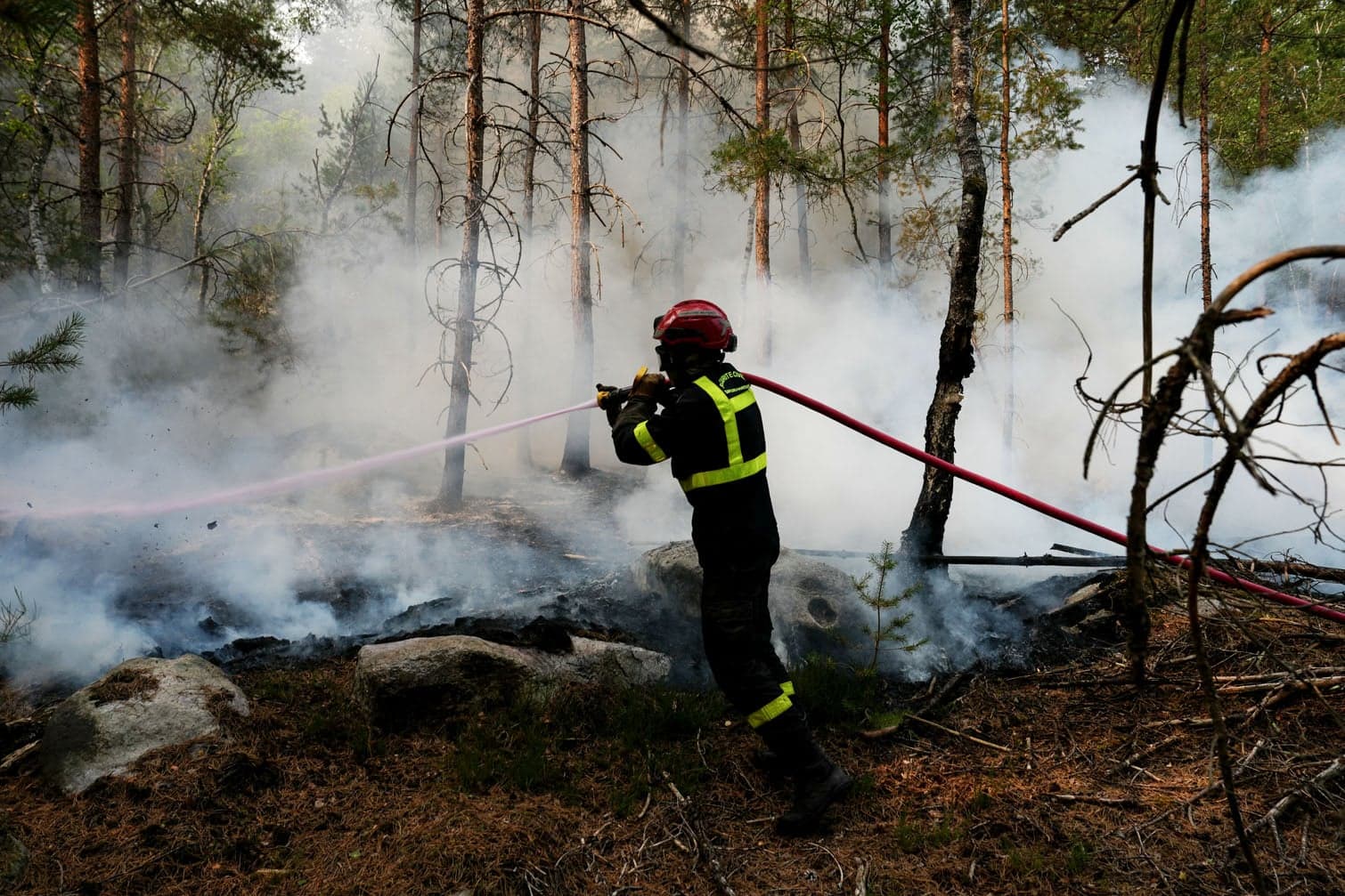 24 hours in pictures, 14 July 2026