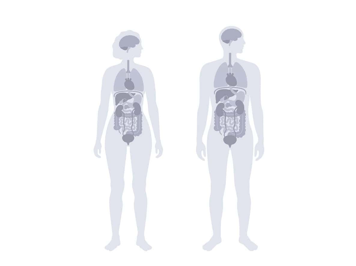 Human body is a prototype that was rushed in production