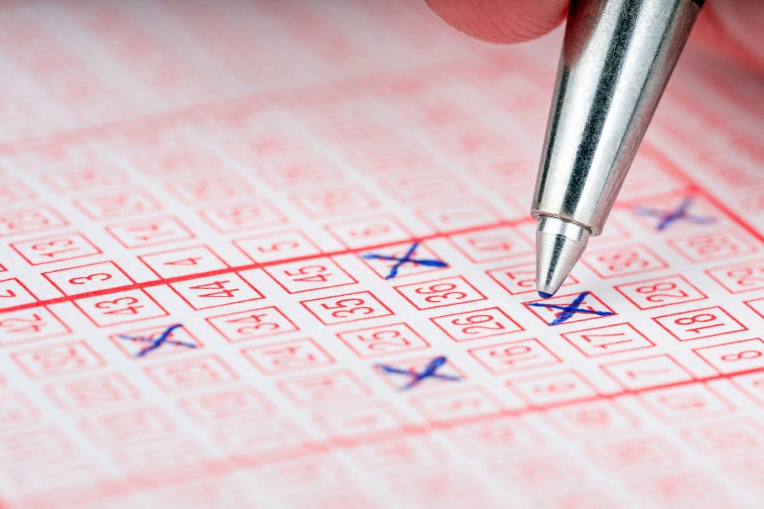 Lotto results and Lotto Plus results: Saturday, 29 August 2026