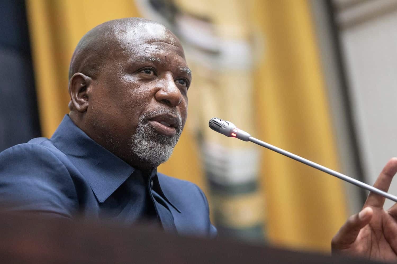 ‘We are being abused’: Ad hoc committee clash over witnesses, evidence in Mkhwanazi inquiry report