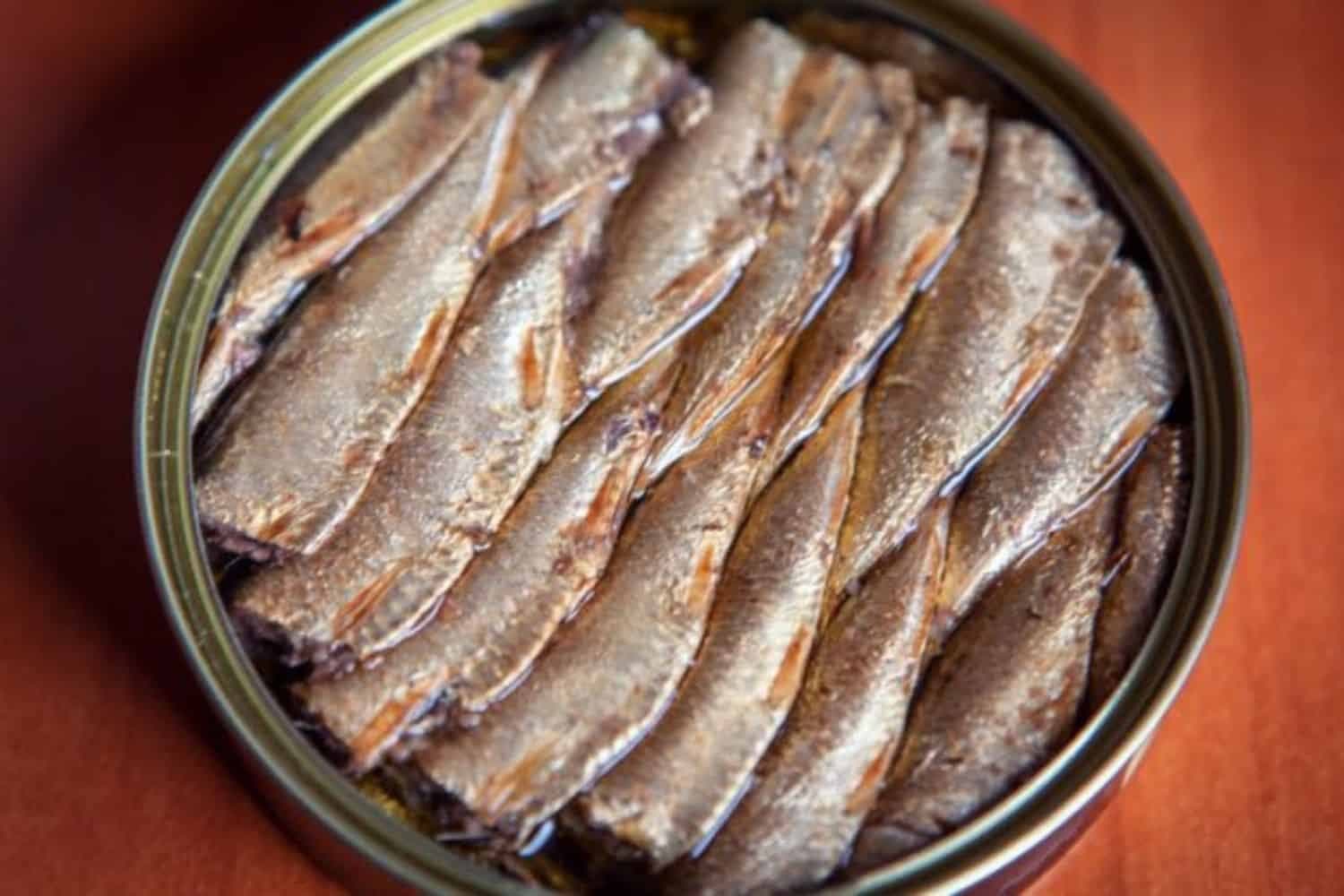 Your canned pilchards are safe to eat, says department