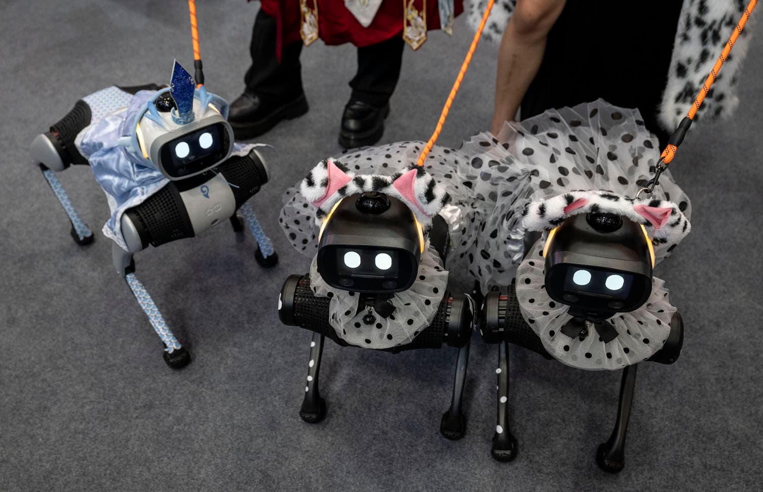 24 hours in pictures, 20 August 2026