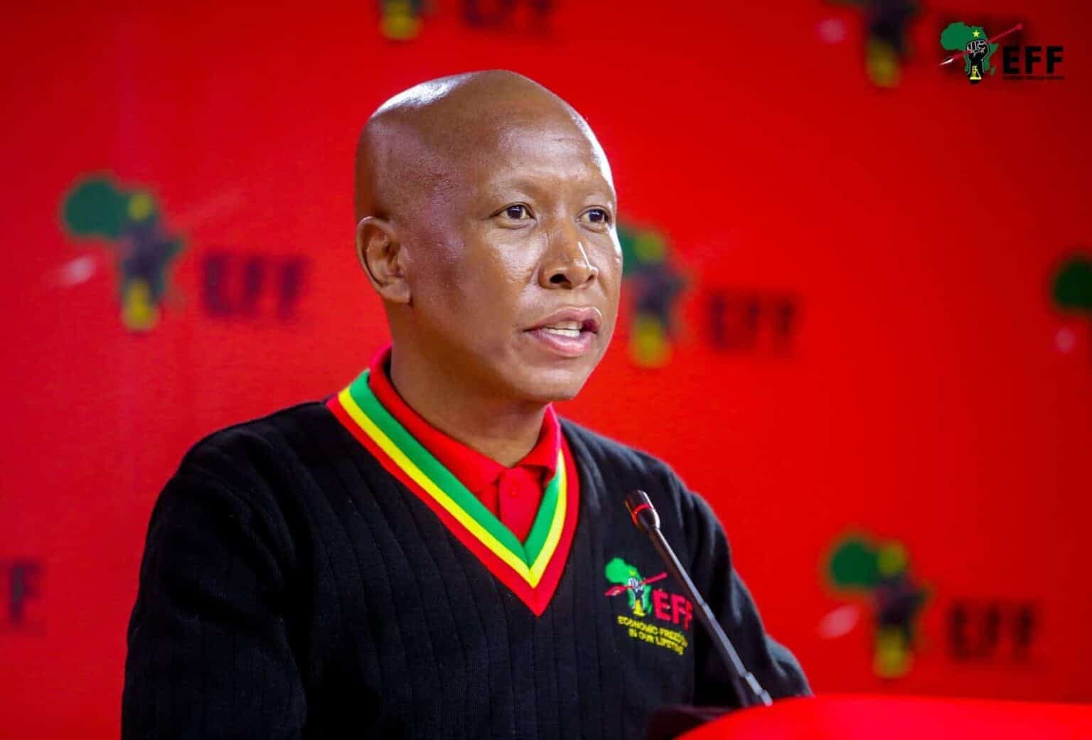 EFF president wants social grants to start at R4 500, promises allowance for unemployed graduates