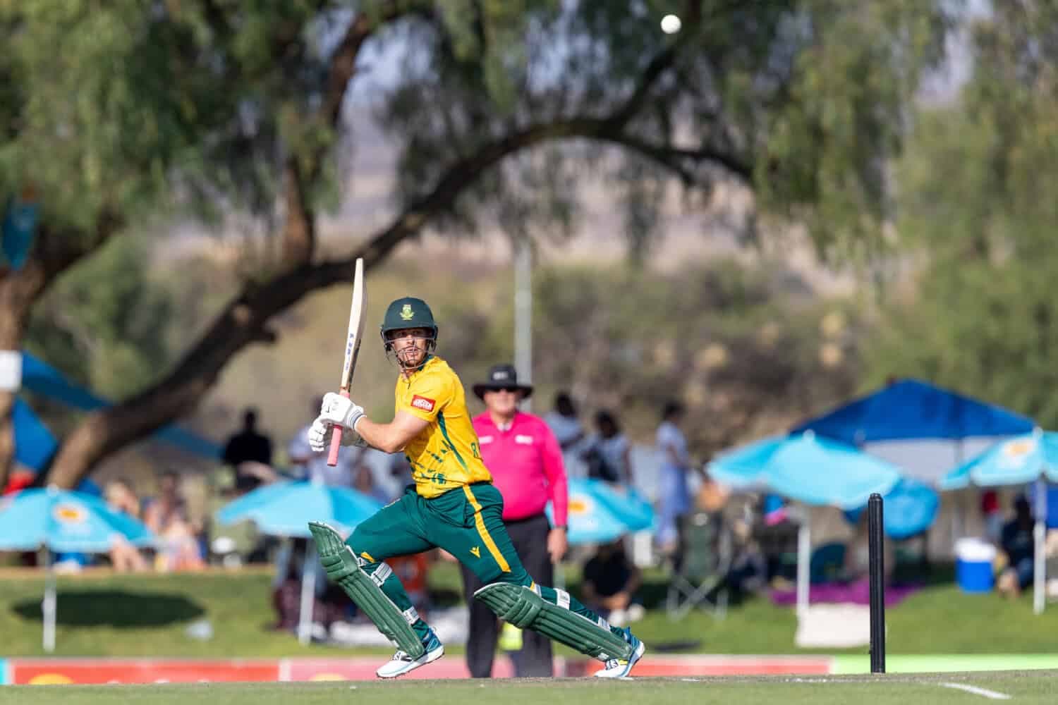 Jordan Hermann equals Matthew Breetzke’s ODI debut record against Namibia