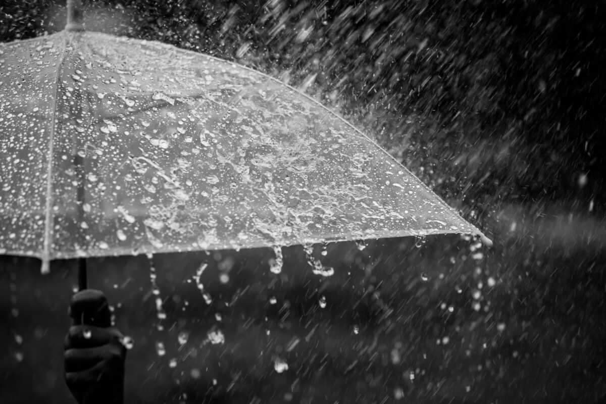 Wetter September expected before heatwaves arrive