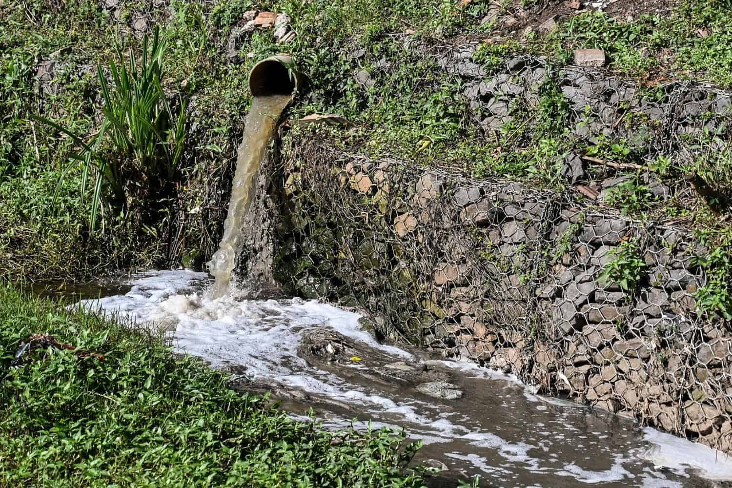 eThekwini loses appeal over raw sewage spills
