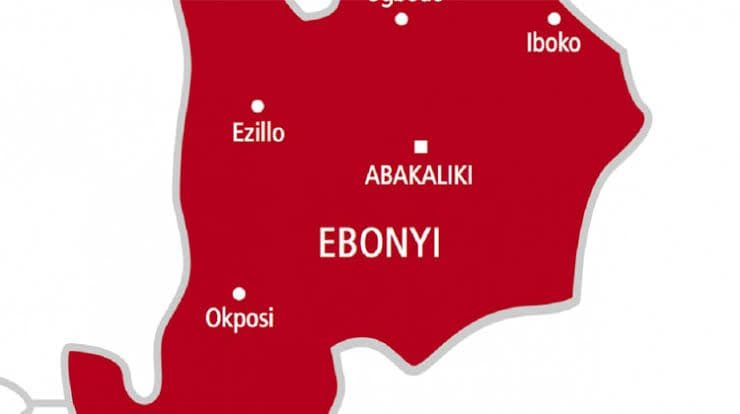 Farmers seek transparent distribution of farm inputs in Ebonyi