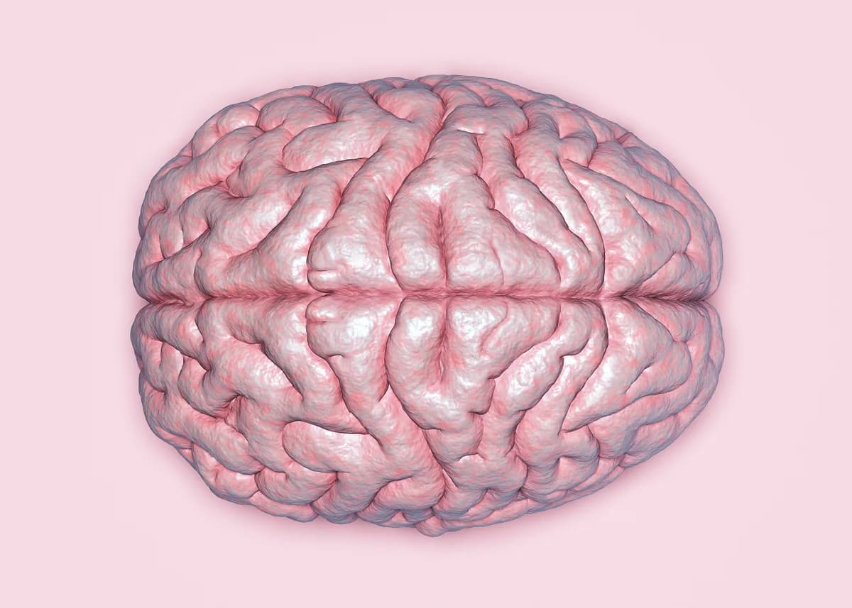 45% of dementia cases could be prevented – WHO