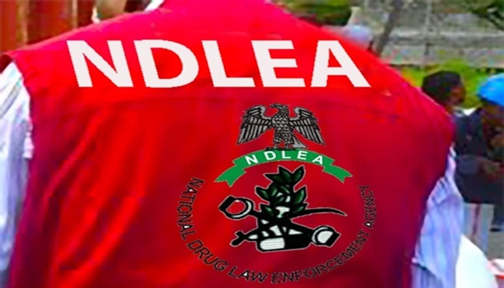 NDLEA discovers 3 drug warehouses, seizes 2,596kg narcotics