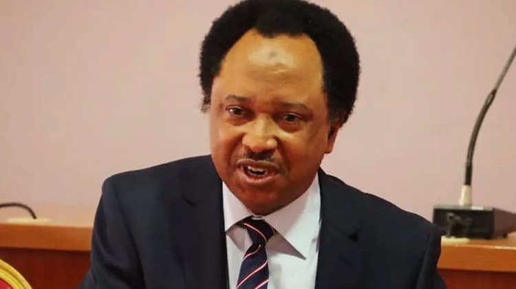 Shehu Sani urges National Assembly to prioritise principle over politics