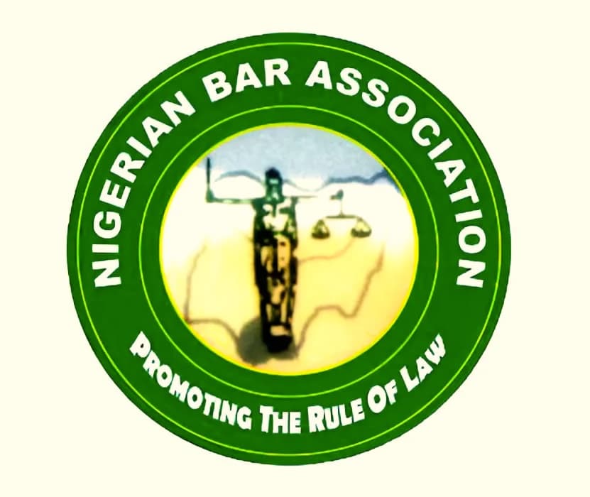 Appeal Court clears way for NBA to proceed with Saturday’s national officers’ elections