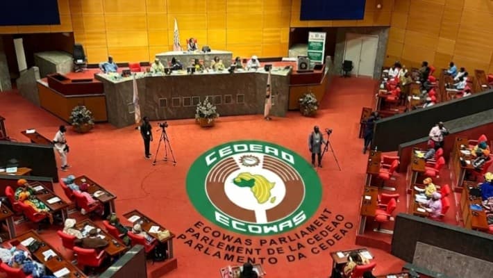 Nigeria hails ECOWAS backing for African Atlantic Gas Pipeline
