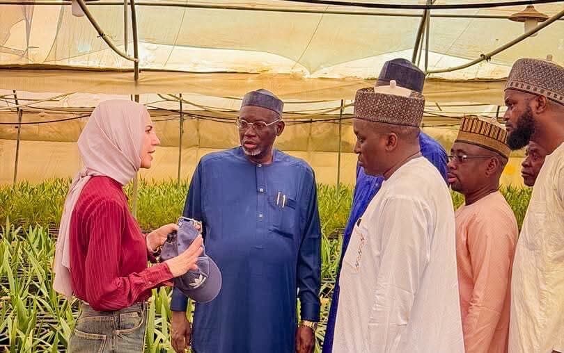 Jigawa partners Egyptian firm on date palm and potato tissue culture technology