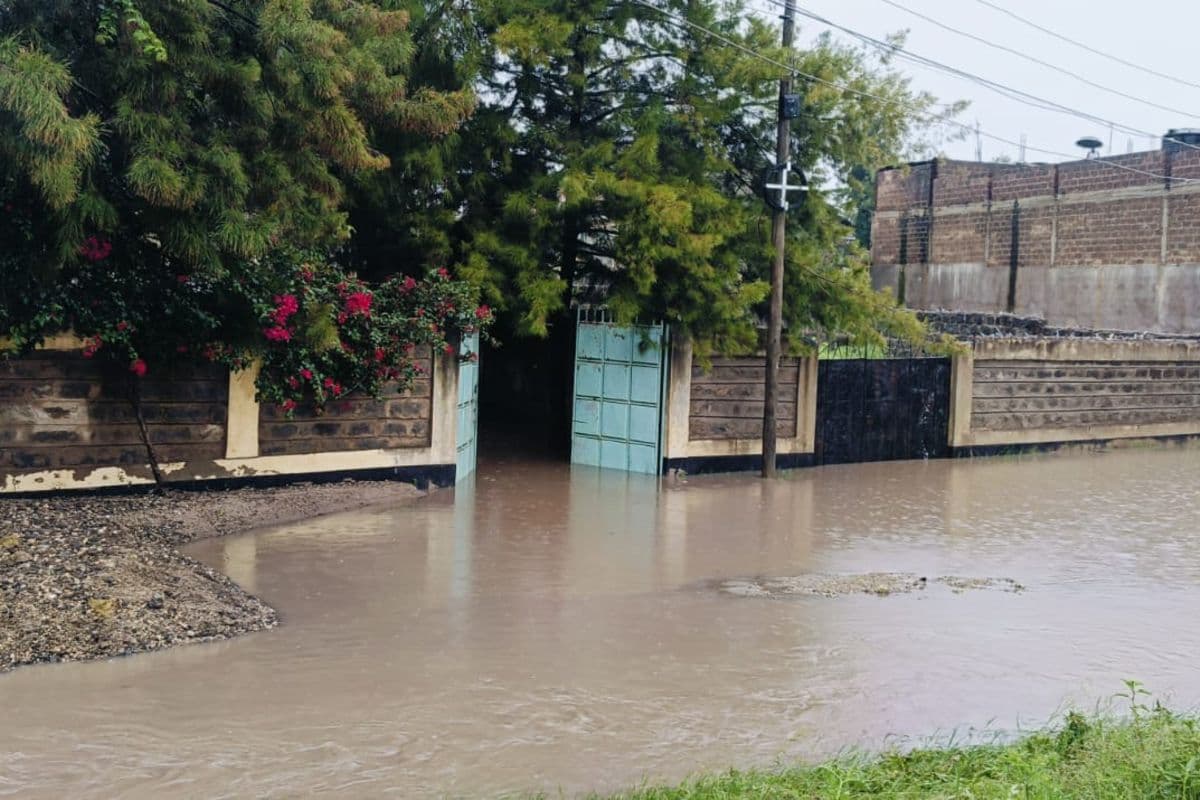 PREMIUM Why Kajiado's satellite towns are at risk of flooding as El Niño rains approach Kajiado 19 min ago