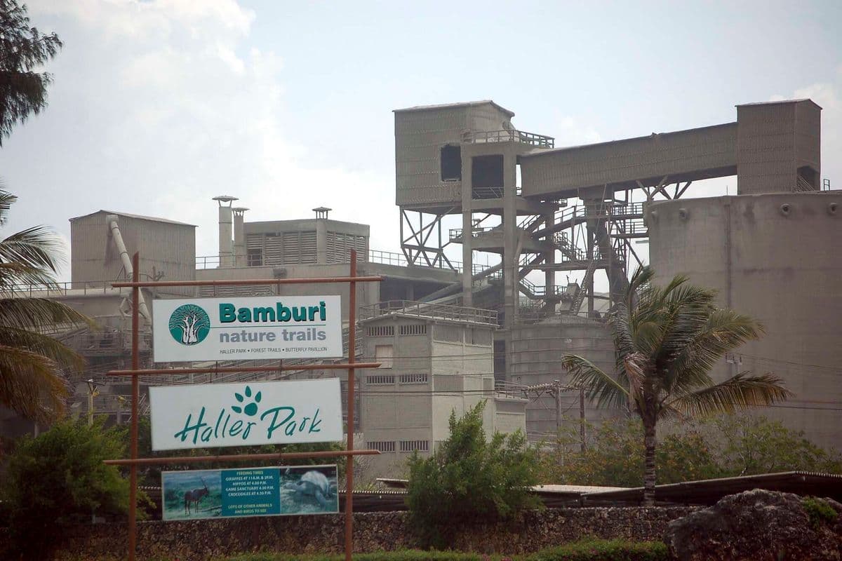 PREMIUM Kenya claims top spot in corporate merger deals Local companies turn to acquisitions to strengthen competitiveness as regional consolidation gathers pace. Companies Just now Listen