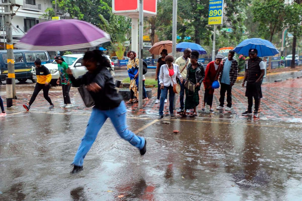 PREMIUM Long rains assessment: Good on paper, uneven on the ground Most parts of the country received near-average to above-average rainfall. Climate Just now