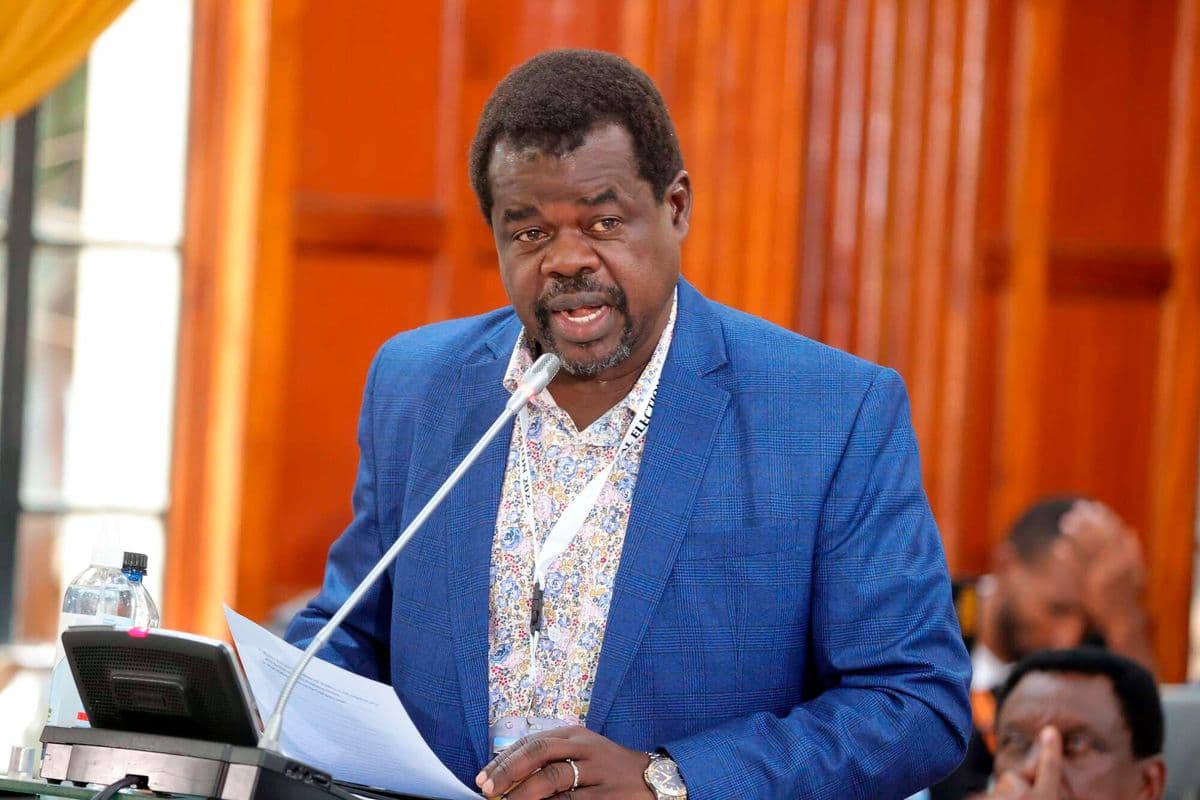 PREMIUM Omtatah-linked party moves to court over IEBC ballot paper security changes News 3 hours ago