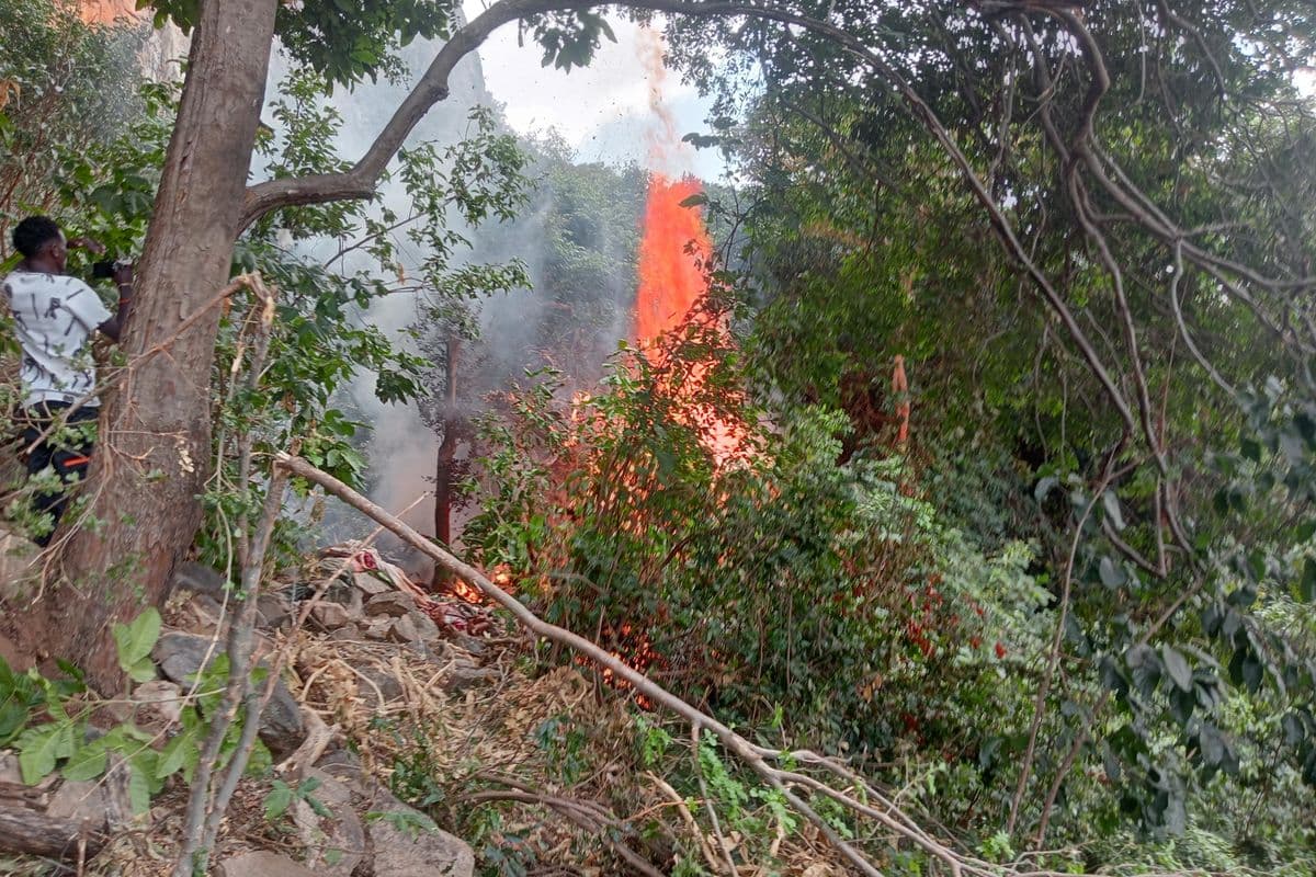 PREMIUM Ololokwe chopper crash: Probe digs into victims’ movements, aircraft history News Just now Listen