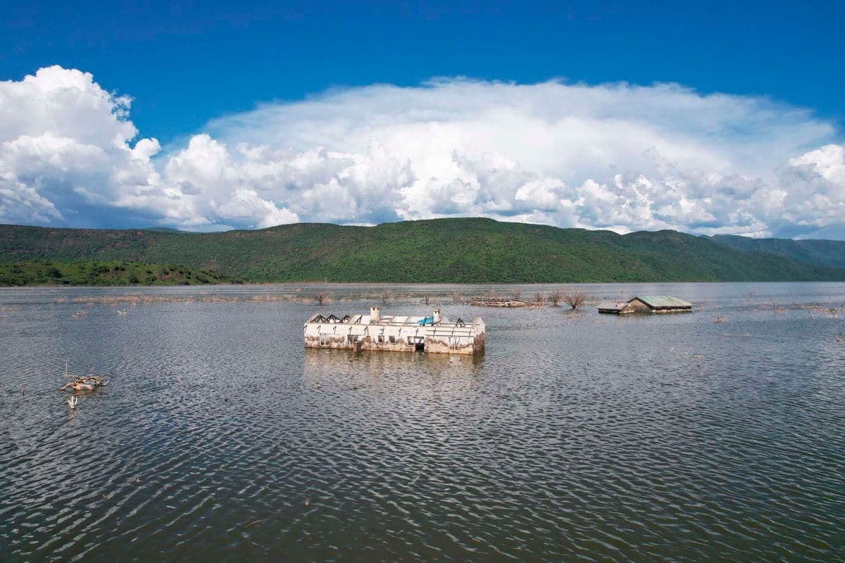 Who will save Lakes Baringo and Bogoria? Videos 22 min ago