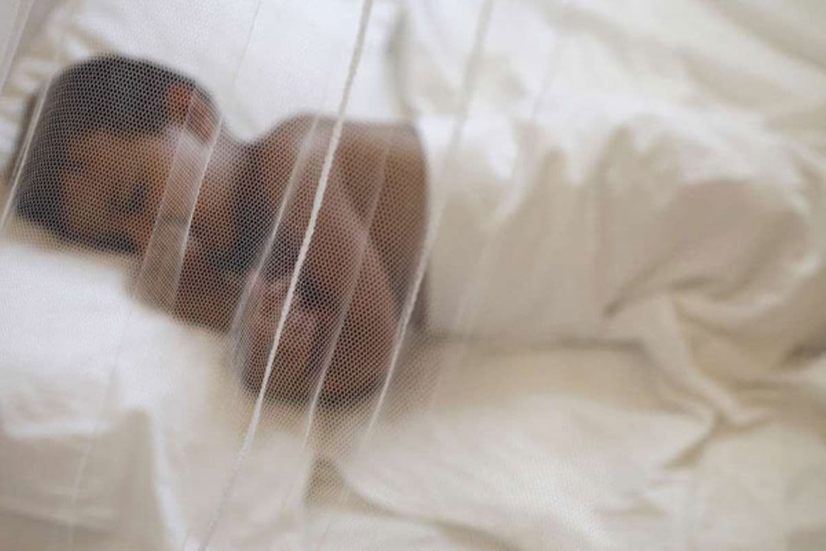 Bed nets alone are not enough: Scientist urges Kenya to rethink malaria fight Mosquitoes are resisting insecticides, spreading to new areas, and biting outside the hours when nets protect people. Health Just now Listen