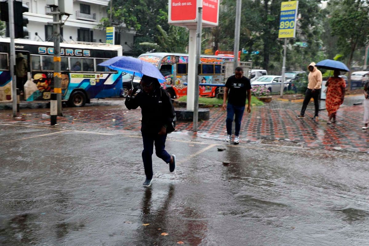 PREMIUM Confused by rain forecasts? Here's how to make sense of them Climate Just now