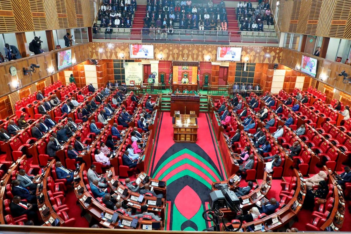 PREMIUM Lewis Ngunyi: Overpaid and underperforming - Is Kenya’s Parliament really worth what we're paying for? We are not suffering from too little representation. We are suffering from too much of it doing too little. Our Columnists Just now