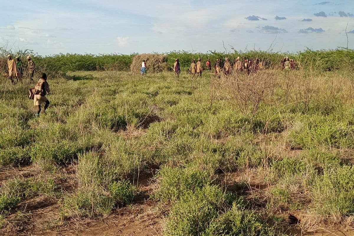 PREMIUM Turkana’s water miracle that never came More than a decade after scientists made an exciting discovery, Ekidor residents are still waiting to enjoy the fruits. Turkana Just now Listen