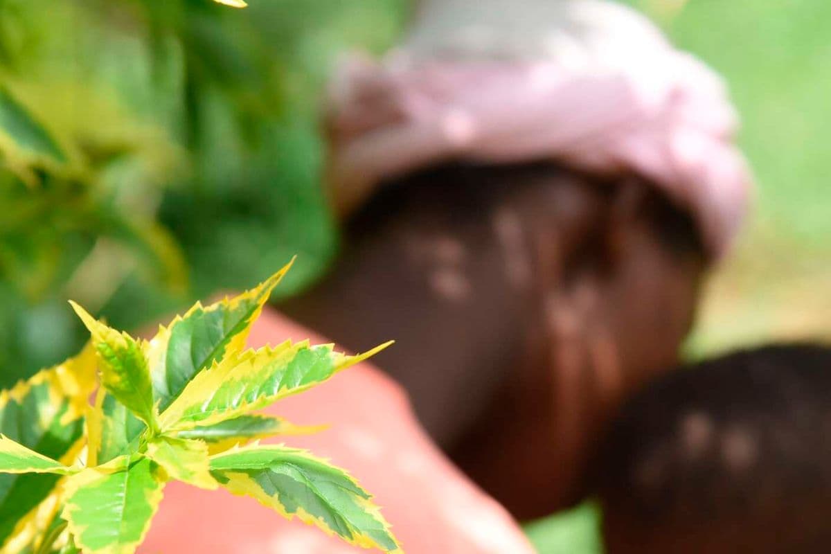 How a simple group therapy programme is helping depressed teen mothers in Kenya For pregnant and parenting adolescents, this is more than a health intervention. Health 20 min ago