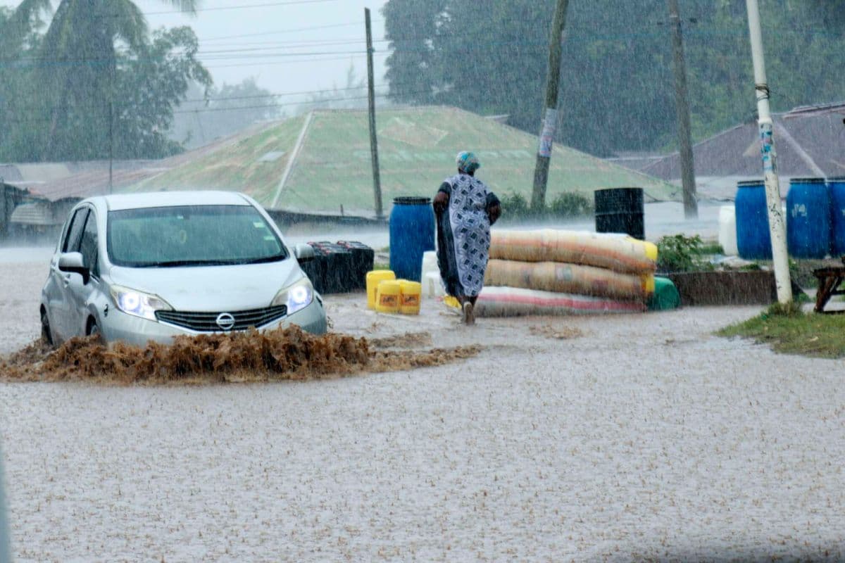 Kenya Met: Coast flooding driven by off-season storms, not El Niño Recent rains at the Coast have left roads and compounds swamped. News Just now Listen