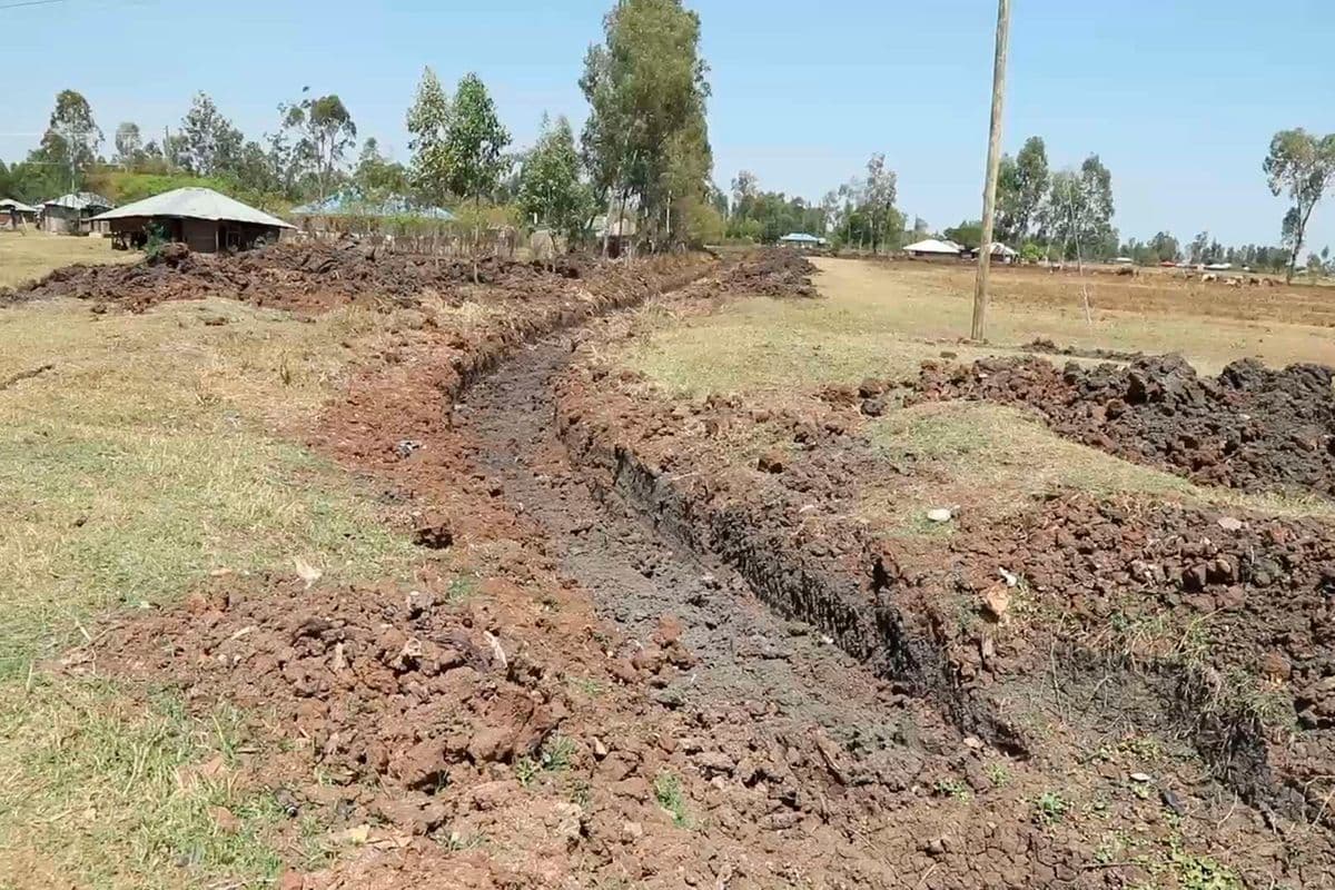 El Niño: Health ministry maps high-risk counties in Sh2.9bn plan The budget is to cater for the preparedness and response to El Niño between October and December. News 7 hours ago