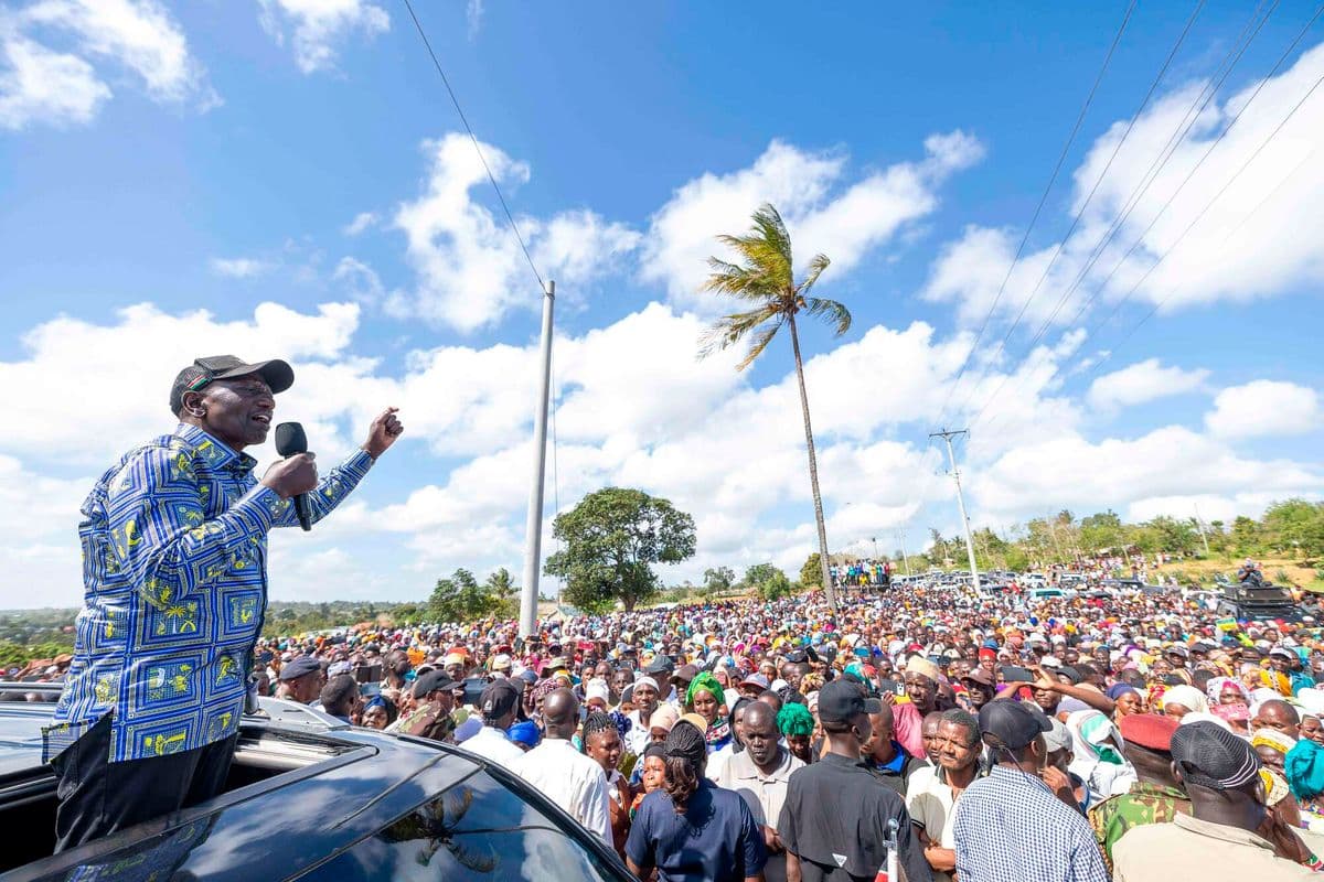 PREMIUM Ruto’s warning to Sh2trn Lamu refinery ‘saboteurs’ President accuses opponents of backing court cases to derail the project. Lamu 1 hour ago Listen