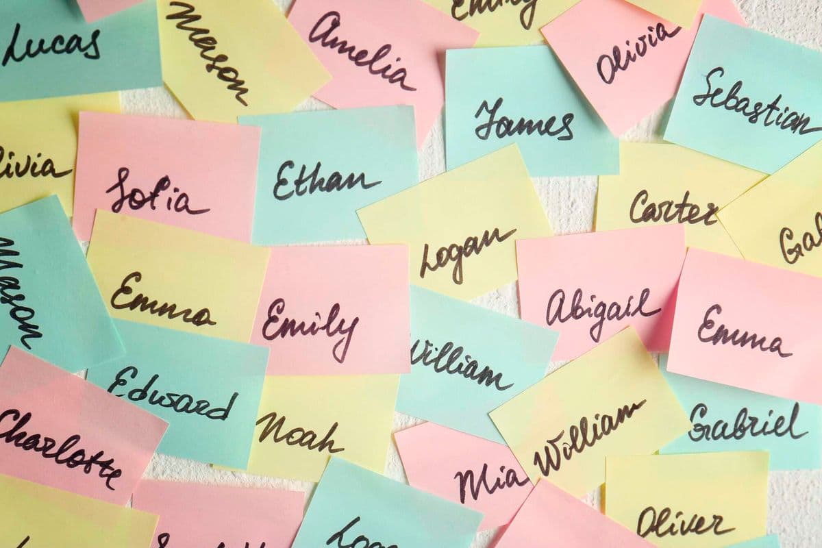 PREMIUM The story behind that unusual name Naming is part of how human beings categorise the world through language. Lifestyle Just now