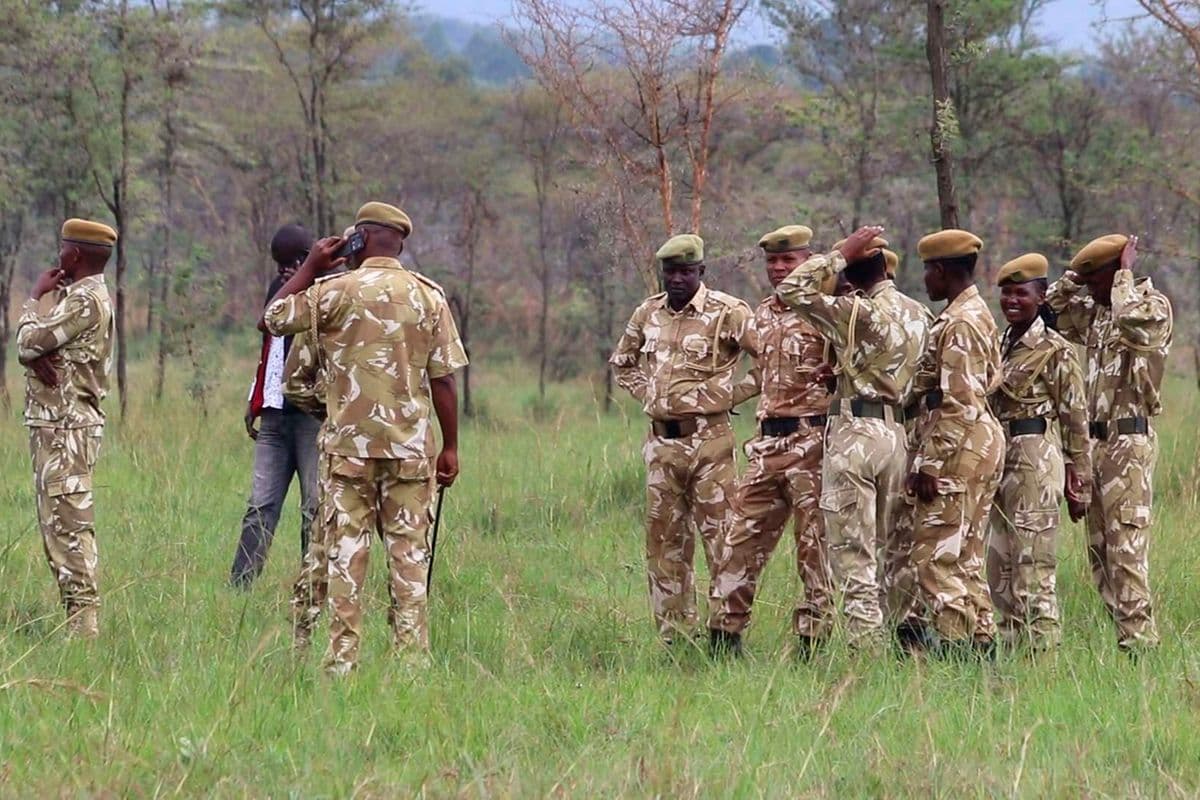 Perennial fires threaten wildlife at Ruma National Park Uncontrolled seasonal fires sparked by neighbouring farmers are endangering rhinos, rare antelopes, and fragile habitats Health Just now