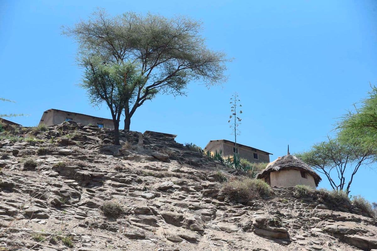 PREMIUM Chesongoch families return to landslides danger zone, one year on Survivors face another rainy season without safe homes. Elgeyo-Marakwet 4 hours ago