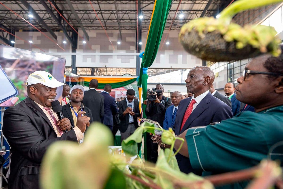Ruto versus experts: Questions as President mocks science on El Niño threat Ruto questioned the shifting timelines for the heavy rains associated with the El Niño event. News 18 min ago