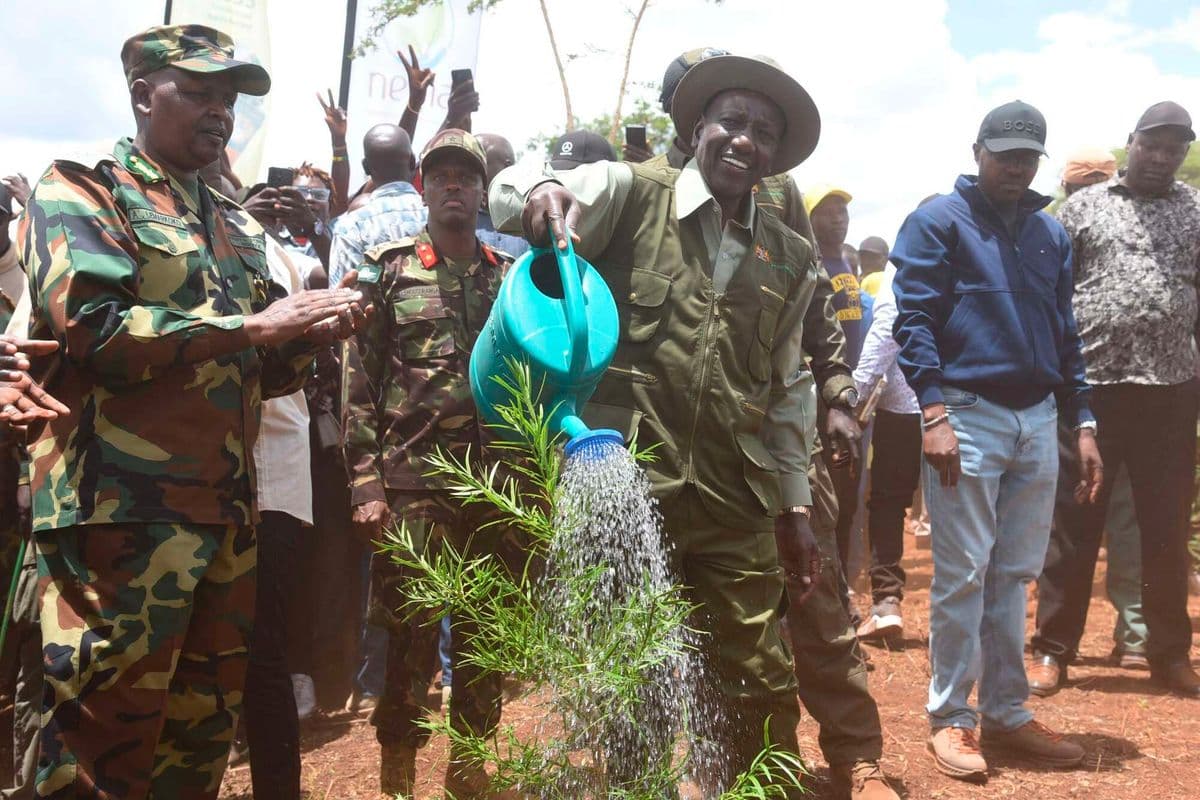 Ruto unveils aerial seeding plan to accelerate 15bn tree target 5.3 million trees planted across the country during this year’s Mazingira Day celebrations. Nakuru 17 min ago