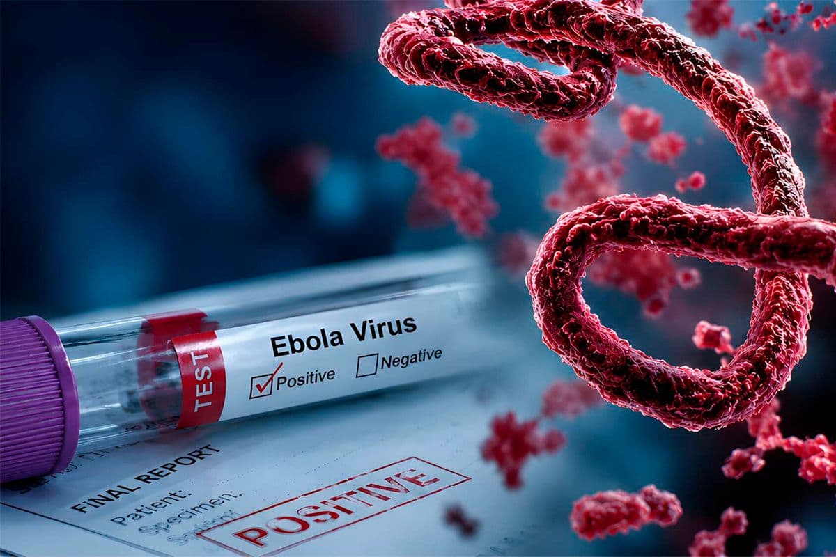 Somalia quarantines man who came into contact with Kenyan Ebola victim The Somali citizen was traced after travelling with the Kenyan who died in Nairobi. Africa 18 min ago