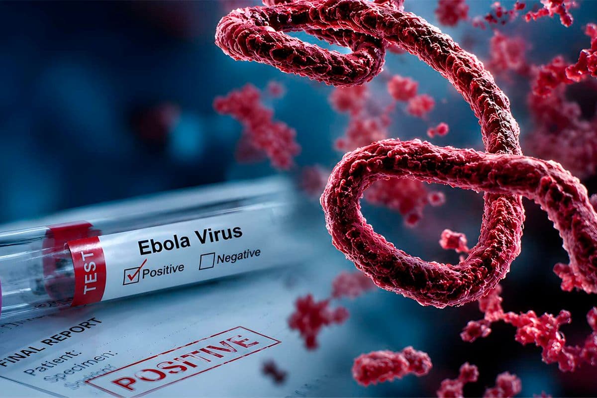 From the first call to clearance: How Ebola contact tracing works in Kenya Health Just now Listen