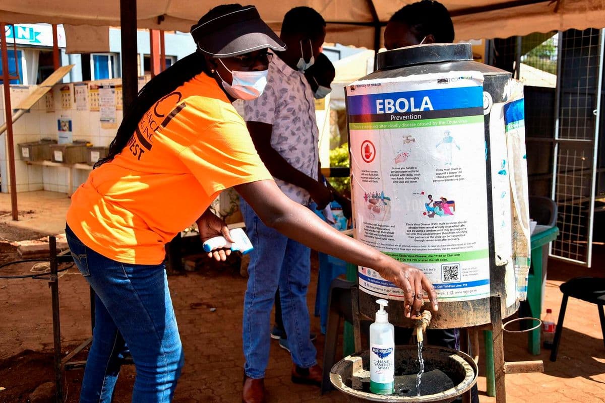Step up Ebola screening in Busia, truck drivers ask State Frontline workers and truck drivers navigating high-stakes crossing with little to no active screening. Health Just now