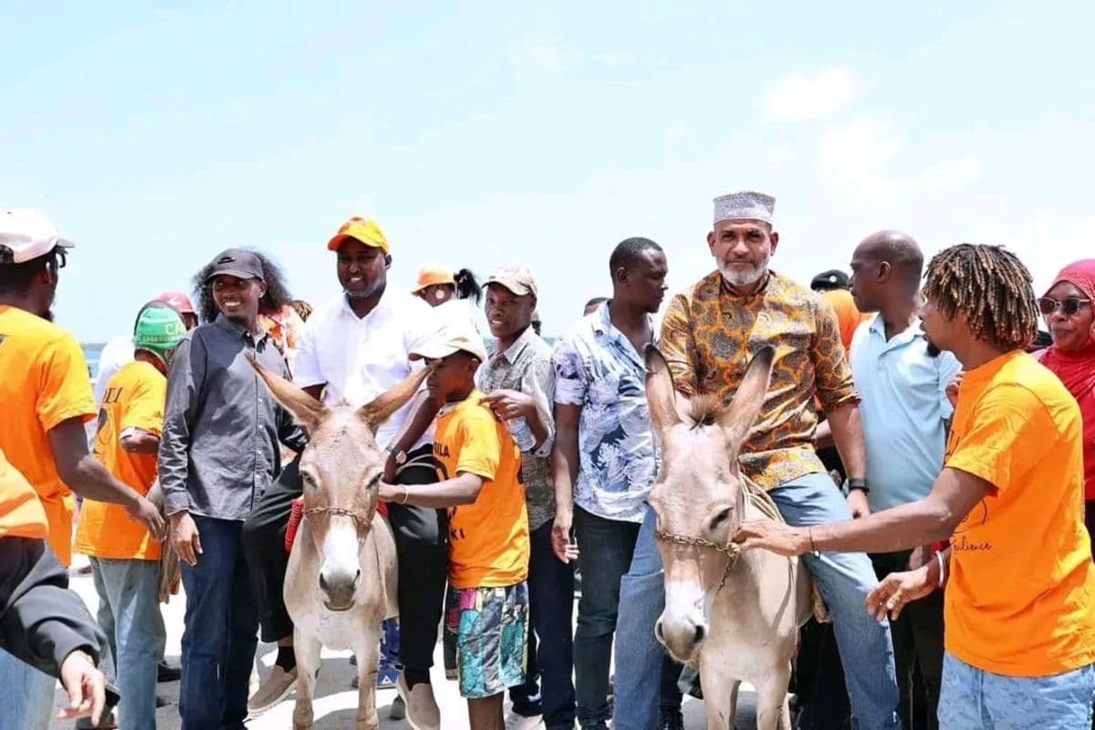 PREMIUM Beyond the burden: Lamu's iconic donkeys trot into the 2027 campaign fever Donkeys are carrying campaign messages as election fever builds. Lamu 20 min ago