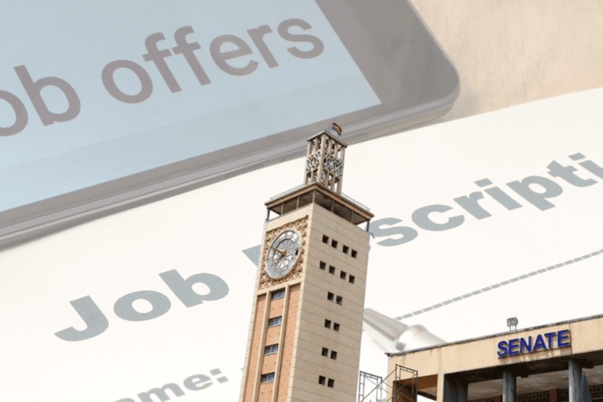 PREMIUM 11 'illegal' hires, one dominant ethnic group: Senate grills Namata boss over jobs Namata advertised for 32 vacancies but secretly recruited 43 employees. News 19 min ago Listen