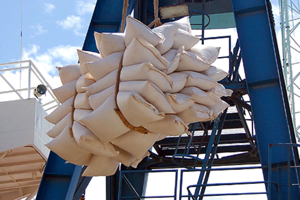 PREMIUM Court asked to stop Kenyan firm’s 540,000 tonnes maize import deal with Zambia Business 16 min ago