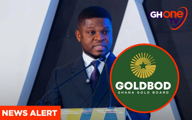 GoldBod failed to dispute GH¢22bn DGPP loss – Minority