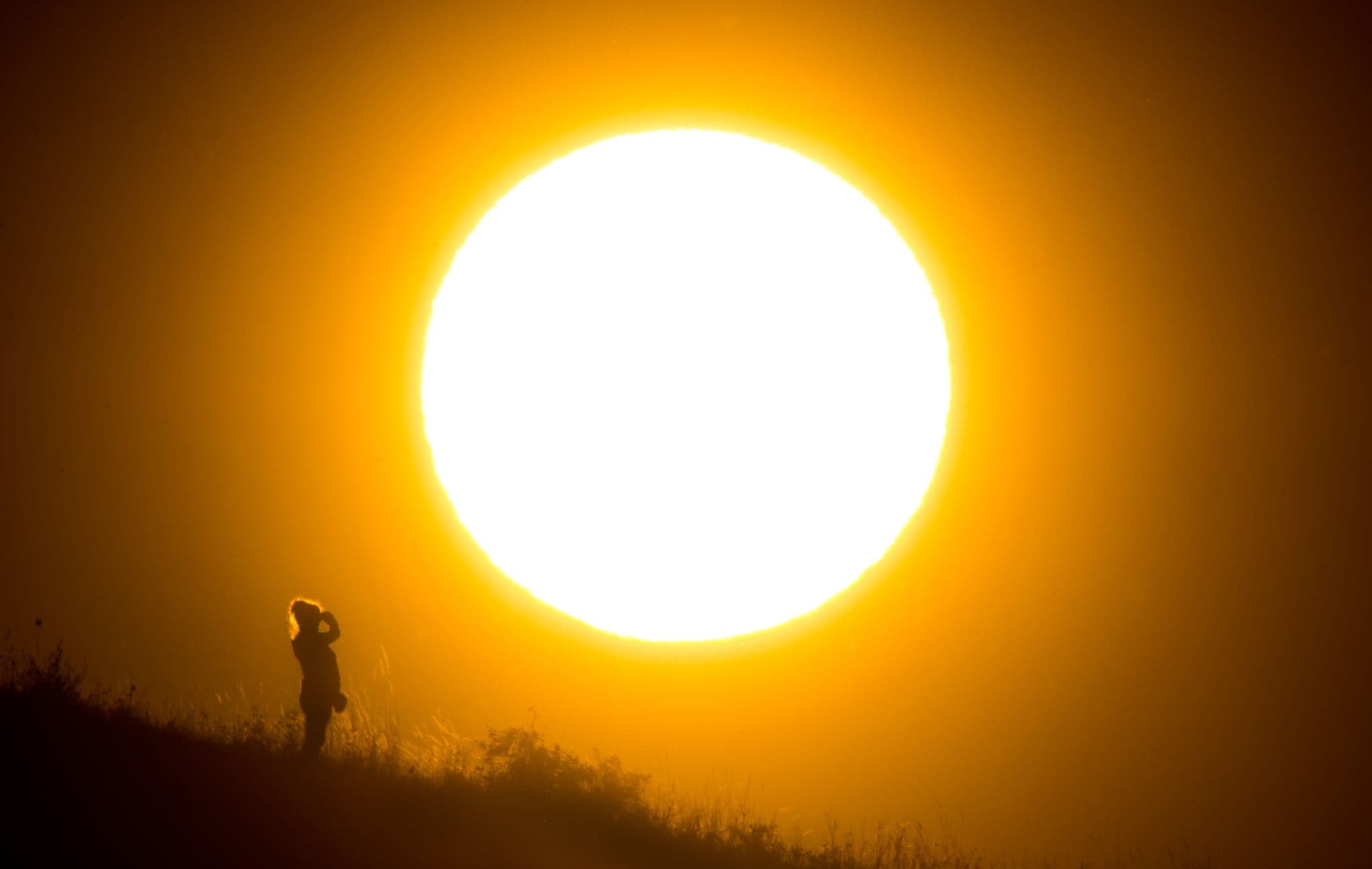 German institute estimates 5,100 heat-related deaths in June heatwave