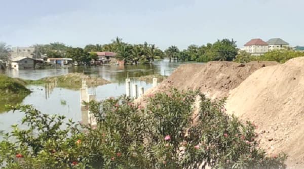 Assemblies accused of sparing illegal buildings on wetlands after collecting fines