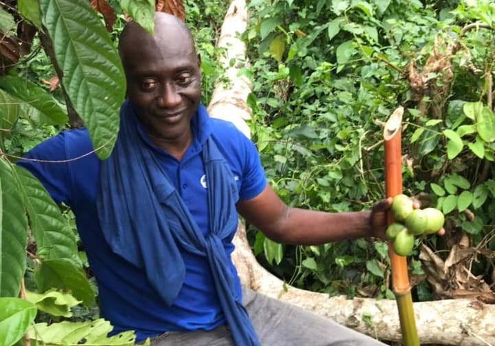 Cocoa Board Bill consultation was inadequate – Ghana National Cocoa Farmers Association
